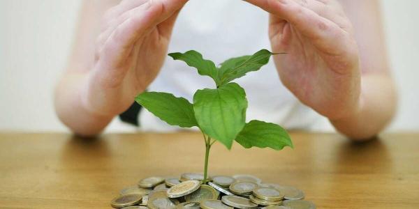 Cuáles son las diferencias entre los seguros de ahorro privativos y gananciales