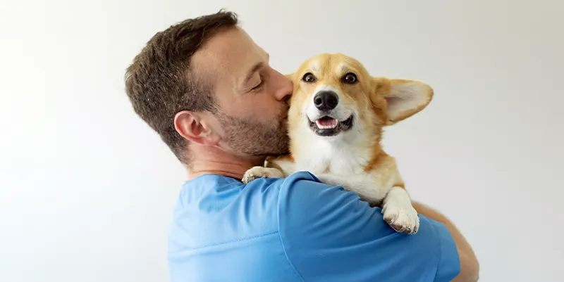 Parvovirosis en perros