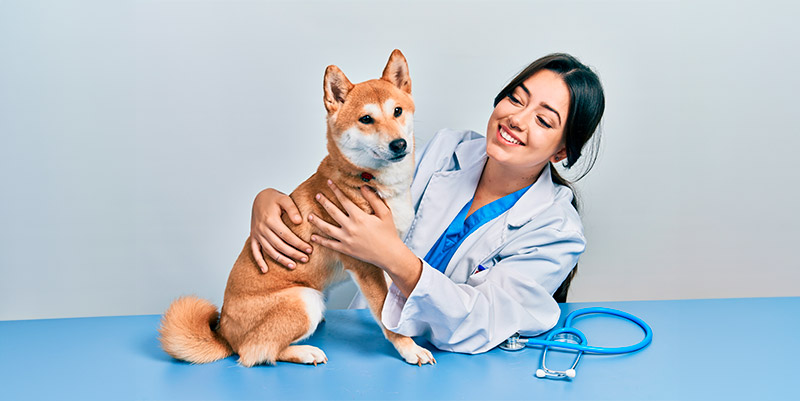 Centros veterinarios y clínicas Caservet