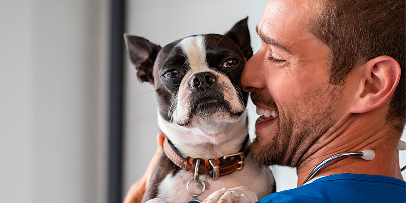 Centros veterinarios y clínicas Caservet