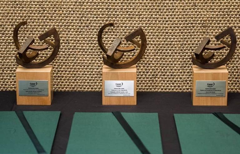 Novena edición Premios Dependencia y Sociedad