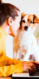 Seguros mascotas Caser