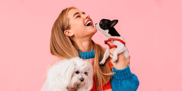 5 Claves para contratar el mejor seguro para mascotas