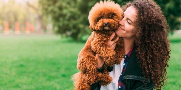 Razas de perros más propensas a enfermar